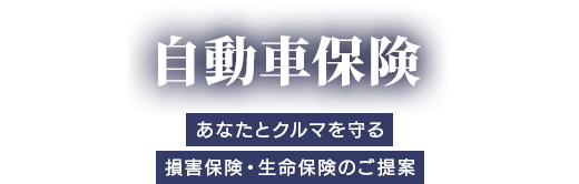 自動車保険