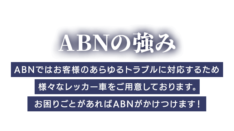 ABN株式会社の強み