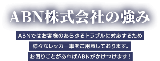 ABN株式会社の強み